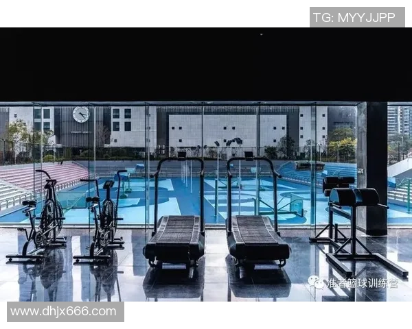 全面解析体能训练流程从入门到精通的全过程秘诀